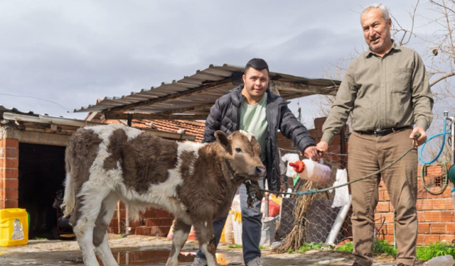 İBB'den Şap Hastalığına Karşı Çiftçiye Buzağı Kiti ve Dezenfektan Desteği Dağıttı