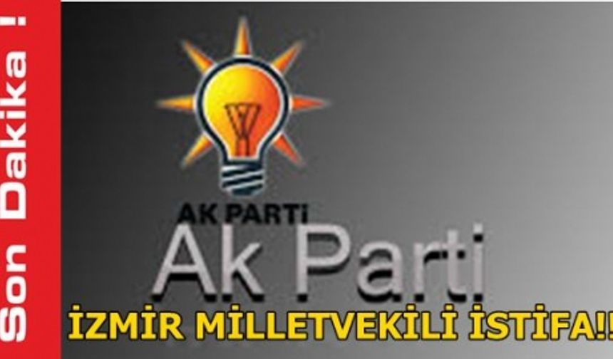 AK Parti’de bir istifa daha