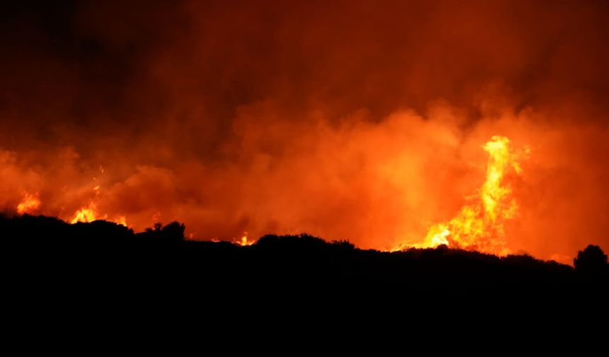 Çanakkale'de ki Orman Yangını Köylere Ulaştı