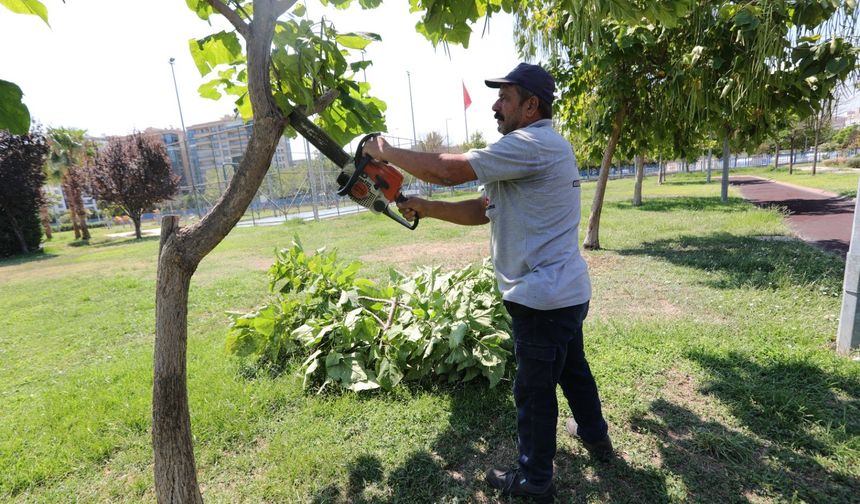 Daha yeşil ve daha modern Bayraklı için hummalı çalışma