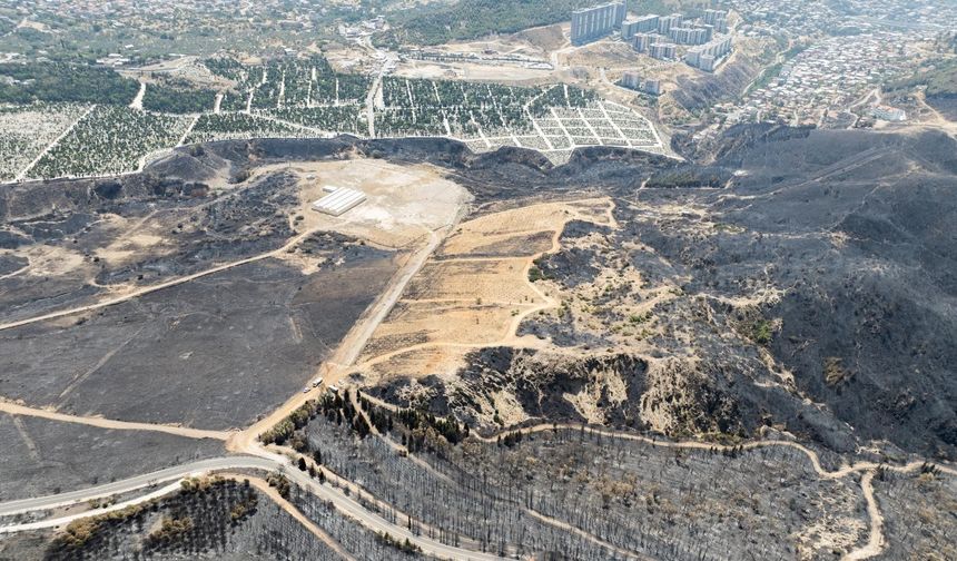 İzmir'de evini kundaklayıp, ormanı ateşe veren şahıs tutuklandı