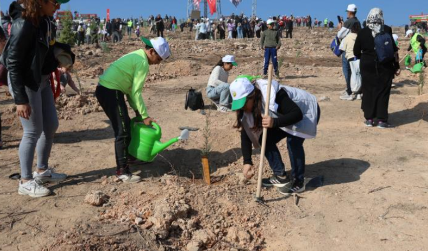 İzmir'de yangının ardından ilk fidanlar ekildi