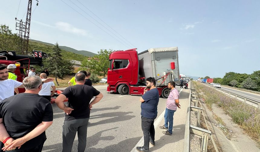 Bir arının yaptığına bak...Yüzlerce kişiyi mağdur etti