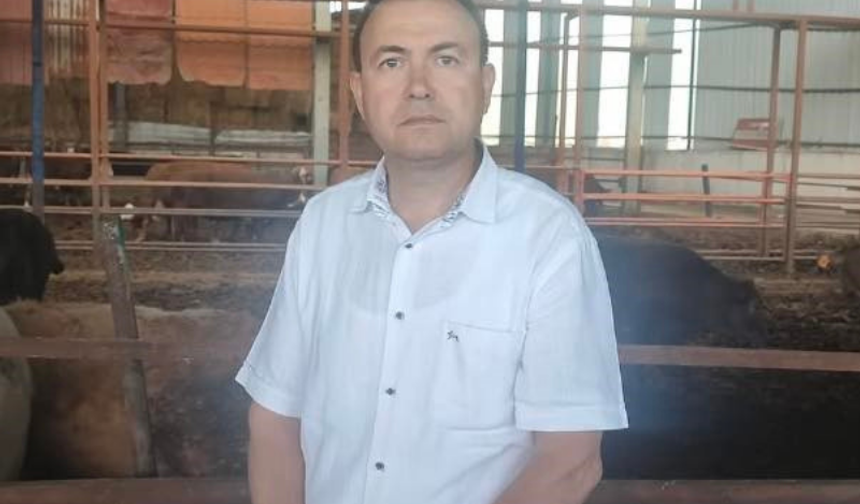 İş Adamı Sattığı Kurbanın Boynuz Darbesi İle Yaşamını Yitirdi