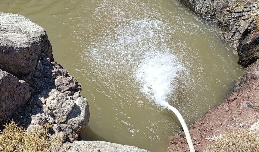 İzmir'de yaban hayvanları için tankerle su taşındı