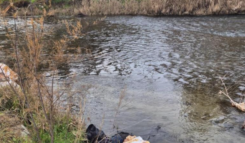 Ege Ekspresi'nin çarptığı yaya hayatını kaybetti