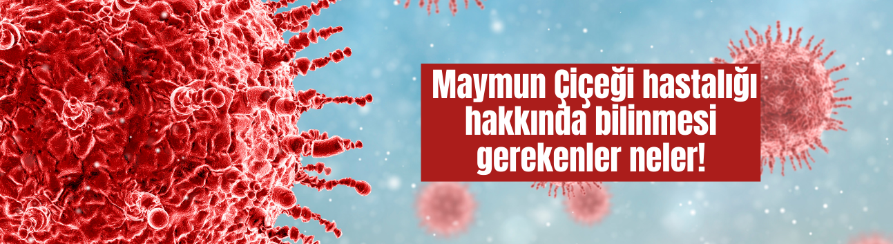 Maymun Çiçeği hastalığı hakkında bilinmesi gerekenler neler!